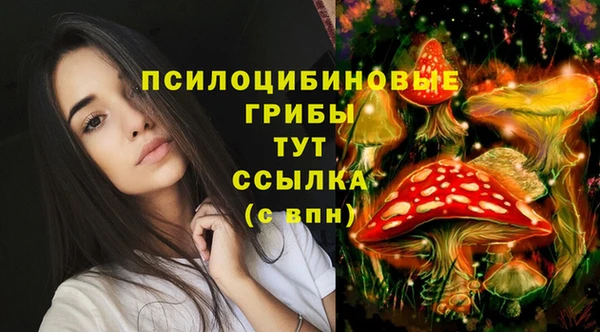 ALPHA PVP Алексин