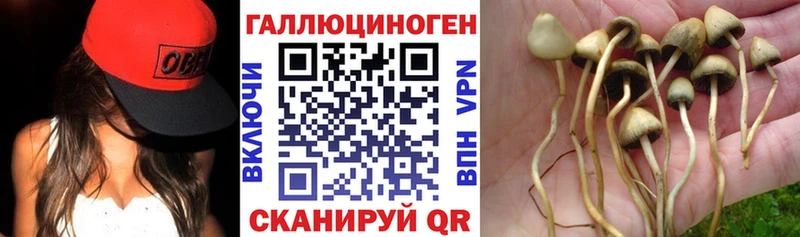 Галлюциногенные грибы MAGIC MUSHROOMS  Купить закладки  Бирюч 